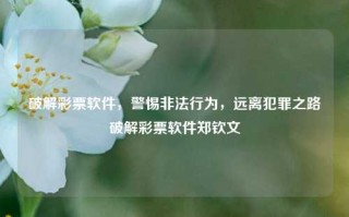 破解彩票软件，警惕非法行为，远离犯罪之路破解彩票软件郑钦文