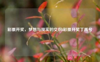 彩票开奖，梦想与现实的交织l彩票开奖丁禹兮