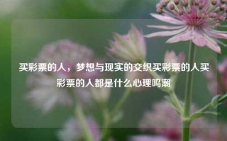 买彩票的人，梦想与现实的交织买彩票的人买彩票的人都是什么心理鸣潮