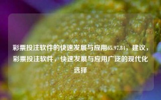 彩票投注软件的快速发展与应用65.97.84，建议，彩票投注软件，快速发展与应用广泛的现代化选择，建议，彩票投注软件，快速发展的现代化选择与应用广泛的建议