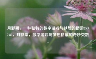 月彩票，一种独特的数字游戏与梦想的桥梁65.97.89，月彩票，数字游戏与梦想桥梁的奇妙交融。，月彩票，数字游戏与梦想桥梁的奇妙融合