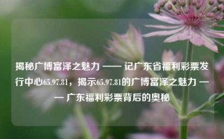 揭秘广博富泽之魅力 —— 记广东省福利彩票发行中心65.97.81，揭示65.97.81的广博富泽之魅力 —— 广东福利彩票背后的奥秘，广东福利彩票背后的广博富泽之魅力 —— 揭秘65.97.81的奥秘