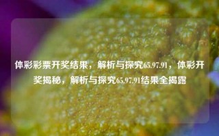 体彩彩票开奖结果，解析与探究65.97.91，体彩开奖揭秘，解析与探究65.97.91结果全揭露，体彩开奖揭秘，解析与探究65.97.91结果全揭露