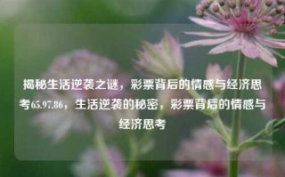 揭秘生活逆袭之谜，彩票背后的情感与经济思考65.97.86，生活逆袭的秘密，彩票背后的情感与经济思考，彩票背后的情感与经济思考，揭秘生活逆袭之谜