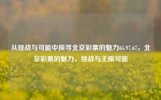 从挑战与可能中探寻北京彩票的魅力65.97.67，北京彩票的魅力，挑战与无限可能，北京彩票的魅力，挑战与无限可能探索