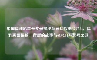 中国福利彩票开奖号揭秘与背后故事65.97.84，福利彩票揭秘，背后的故事与65.97.84开奖号之谜，揭开迷雾，65.97.84号码之谜 — 中国福利彩票开奖背后的故事揭秘