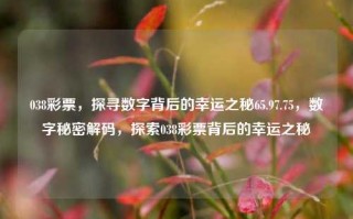 038彩票，探寻数字背后的幸运之秘65.97.75，数字秘密解码，探索038彩票背后的幸运之秘，探寻038彩票背后的幸运密码，揭秘65.97.75数字背后的奥秘