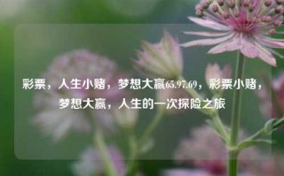 彩票，人生小赌，梦想大赢65.97.69，彩票小赌，梦想大赢，人生的一次探险之旅，彩票，人生小赌，梦想大赢的一次探险之旅