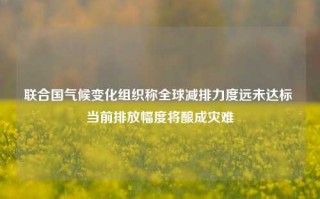 联合国气候变化组织称全球减排力度远未达标 当前排放幅度将酿成灾难