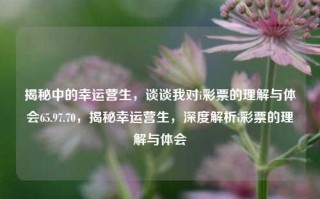 揭秘中的幸运营生，谈谈我对i彩票的理解与体会65.97.70，揭秘幸运营生，深度解析i彩票的理解与体会，深度解析，我对于i彩票的幸运营生理解与体会 65.97.70 揭秘之旅