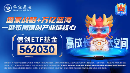 新一轮信创开启，产业链有望迎机遇！信创ETF基金（562030）一度涨超2.3%，中科曙光盘中触板-第4张图片-彩票资讯