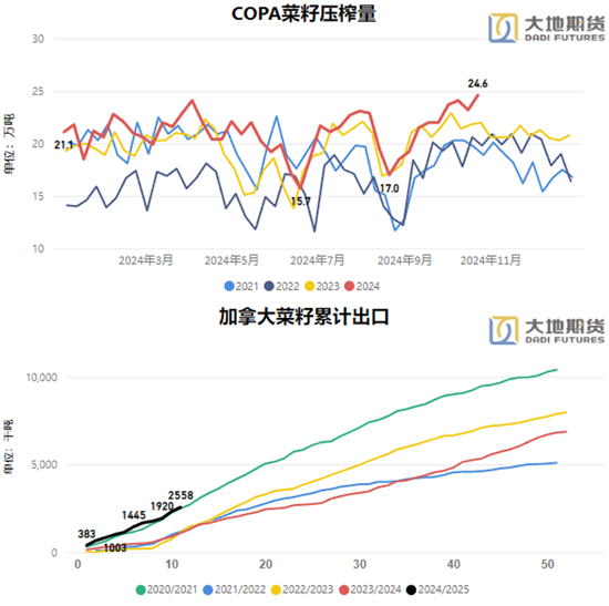 油脂：暂时告一段落-第15张图片-彩票资讯