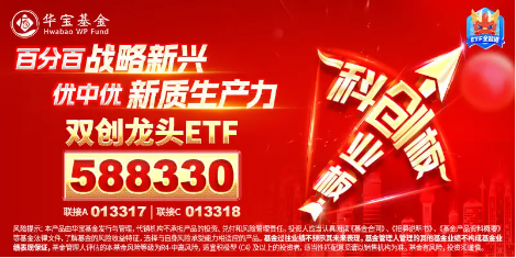 半导体领衔，创业板+科创板联袂狂飙，成长“战斗基”——双创龙头ETF（588330）盘中涨超2%-第3张图片-彩票资讯