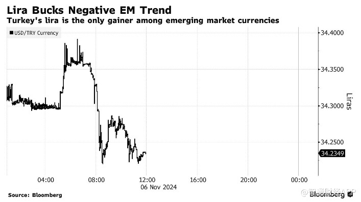 特朗普胜选引爆汇市 土耳其里拉成避风港-第1张图片-彩票资讯