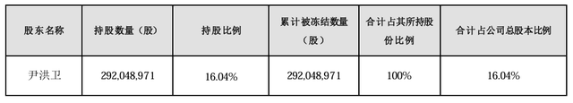 大股东持股遭八次轮候冻结，岭南股份流动性危机何解-第1张图片-彩票资讯