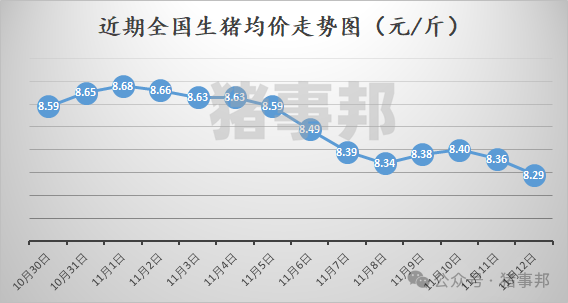 11月12日猪价汇总（均价再度刷新近5个月新低！）-第3张图片-彩票资讯