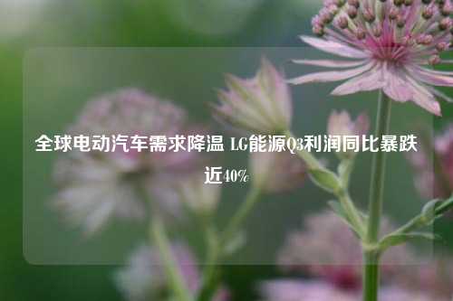 全球电动汽车需求降温 LG能源Q3利润同比暴跌近40%-第1张图片-彩票资讯