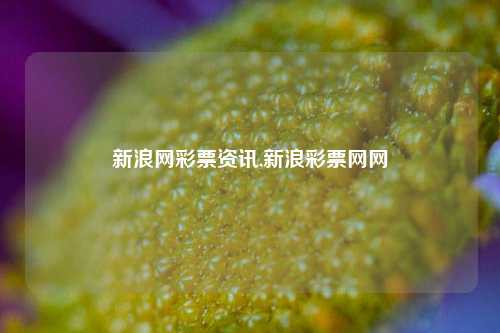 新浪网彩票资讯,新浪彩票网网-第1张图片-彩票资讯