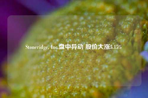 Stoneridge, Inc.盘中异动 股价大涨5.15%-第1张图片-彩票资讯