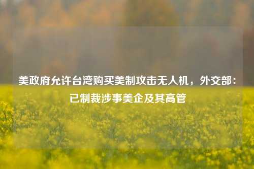 美政府允许台湾购买美制攻击无人机，外交部：已制裁涉事美企及其高管-第1张图片-彩票资讯