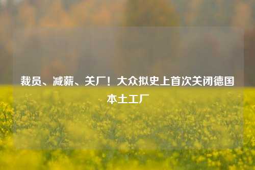 裁员、减薪、关厂！大众拟史上首次关闭德国本土工厂-第1张图片-彩票资讯