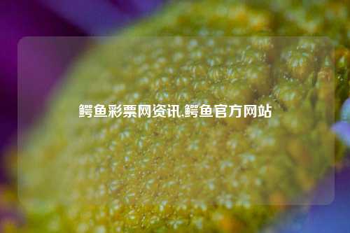 鳄鱼彩票网资讯,鳄鱼官方网站-第1张图片-彩票资讯