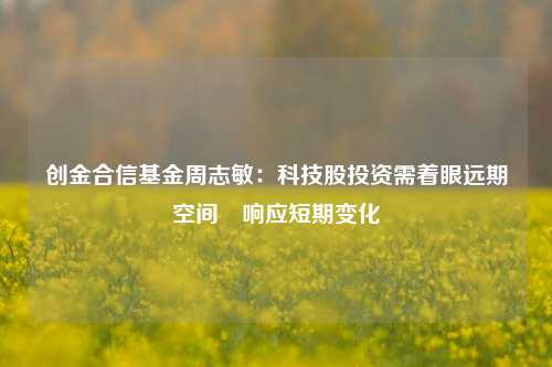 创金合信基金周志敏：科技股投资需着眼远期空间 响应短期变化-第1张图片-彩票资讯