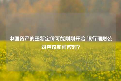 中国资产的重新定价可能刚刚开始 银行理财公司应该如何应对？-第1张图片-彩票资讯