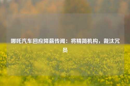 哪吒汽车回应降薪传闻：将精简机构，裁汰冗员-第1张图片-彩票资讯