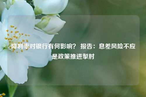 降利率对银行有何影响？ 报告：息差风险不应是政策推进掣肘-第1张图片-彩票资讯