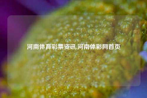 河南体育彩票资讯,河南体彩网首页-第1张图片-彩票资讯