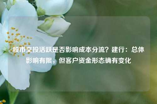 股市交投活跃是否影响成本分流？建行：总体影响有限，但客户资金形态确有变化-第1张图片-彩票资讯