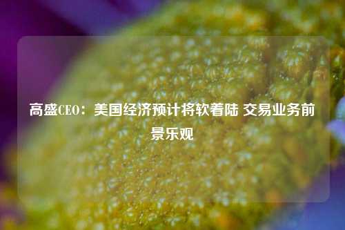 高盛CEO：美国经济预计将软着陆 交易业务前景乐观-第1张图片-彩票资讯