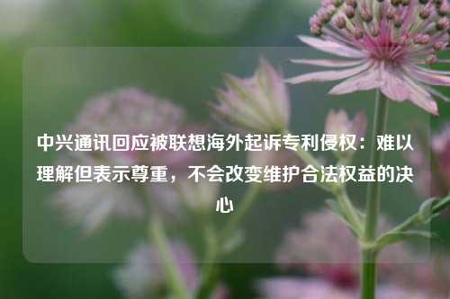 中兴通讯回应被联想海外起诉专利侵权：难以理解但表示尊重，不会改变维护合法权益的决心-第1张图片-彩票资讯