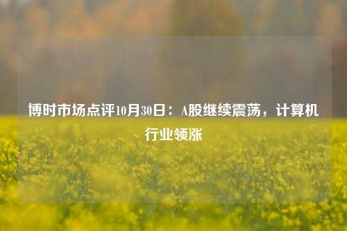 博时市场点评10月30日：A股继续震荡，计算机行业领涨-第1张图片-彩票资讯