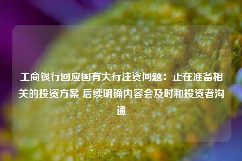 工商银行回应国有大行注资问题：正在准备相关的投资方案 后续明确内容会及时和投资者沟通-第1张图片-彩票资讯