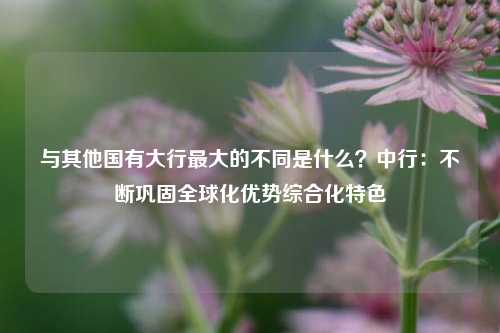 与其他国有大行最大的不同是什么？中行：不断巩固全球化优势综合化特色-第1张图片-彩票资讯