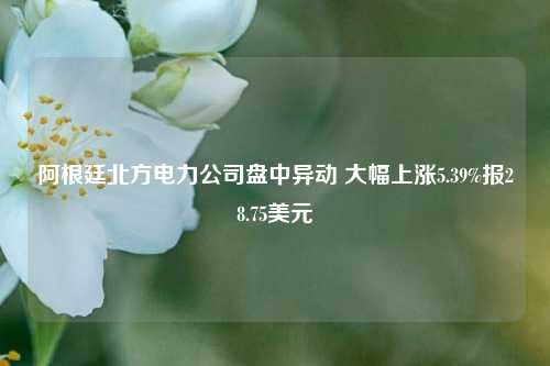 阿根廷北方电力公司盘中异动 大幅上涨5.39%报28.75美元-第1张图片-彩票资讯