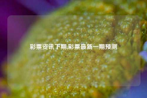 彩票资讯下期,彩票最新一期预测-第1张图片-彩票资讯