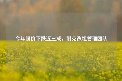 今年股价下跌近三成，耐克改组管理团队-第1张图片-彩票资讯