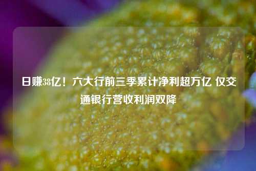 日赚38亿！六大行前三季累计净利超万亿 仅交通银行营收利润双降-第1张图片-彩票资讯