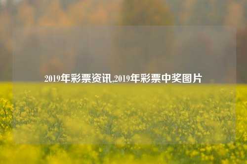 2019年彩票资讯,2019年彩票中奖图片-第1张图片-彩票资讯