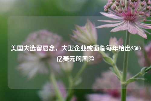 美国大选留悬念，大型企业或面临每年给出2500亿美元的风险-第1张图片-彩票资讯