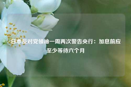 日本反对党领袖一周两次警告央行：加息前应至少等待六个月-第1张图片-彩票资讯