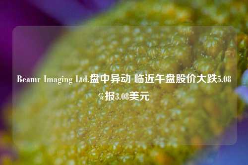 Beamr Imaging Ltd.盘中异动 临近午盘股价大跌5.08%报3.08美元-第1张图片-彩票资讯