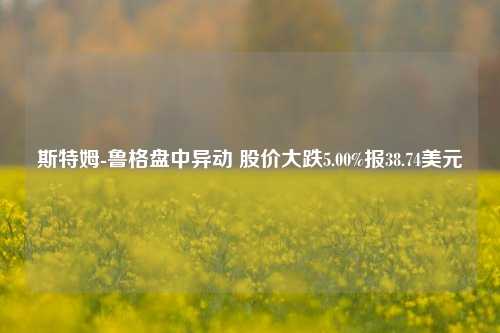 斯特姆-鲁格盘中异动 股价大跌5.00%报38.74美元-第1张图片-彩票资讯