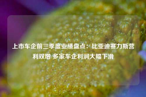 上市车企前三季度业绩盘点：比亚迪赛力斯营利双增 多家车企利润大幅下滑-第1张图片-彩票资讯