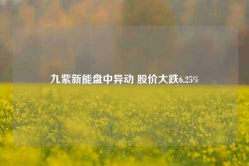 九紫新能盘中异动 股价大跌6.25%-第1张图片-彩票资讯