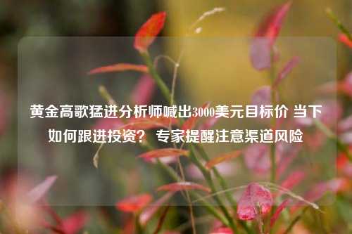 黄金高歌猛进分析师喊出3000美元目标价 当下如何跟进投资？ 专家提醒注意渠道风险-第1张图片-彩票资讯