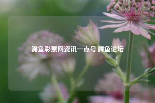 鳄鱼彩票网资讯一点号,鳄鱼论坛-第1张图片-彩票资讯